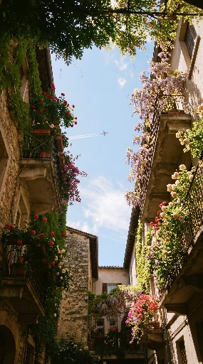 Flower-filled old courtyard framing a plane in blue sky